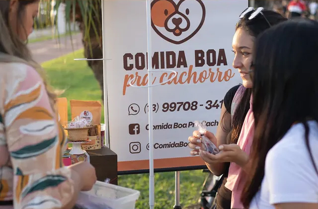 Direção criativa Festa Aunina